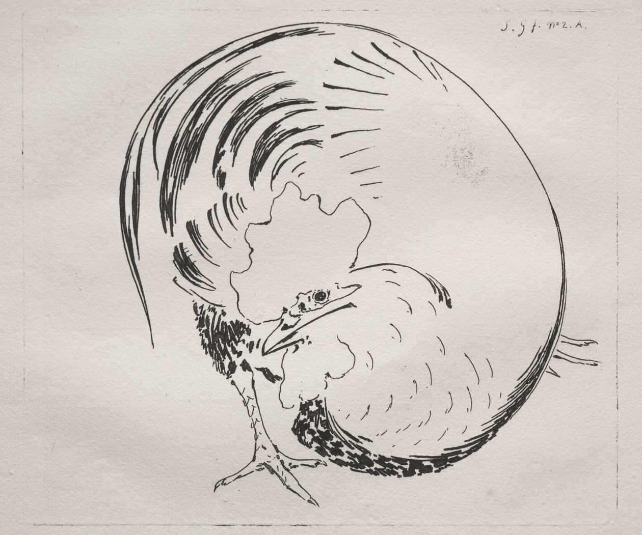 Il servizio ad alta temperatura: controprova del gallo, c. 1860 da Felix Bracquemond
