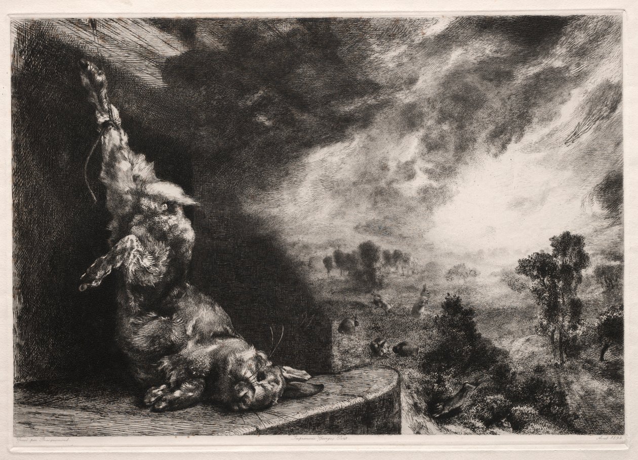 Il grande coniglio, 1891, stampato 1894 da Felix Bracquemond