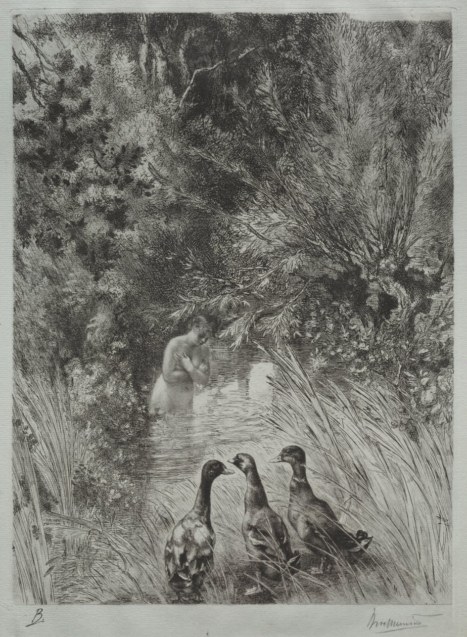 Le Anatre Sorpresi da Felix Bracquemond