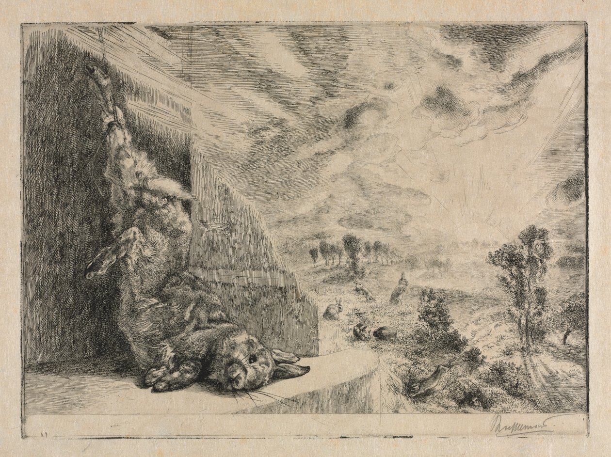 Il coniglio selvatico da Felix Bracquemond
