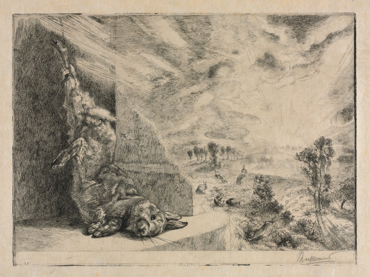 Il coniglio selvatico da Felix Bracquemond