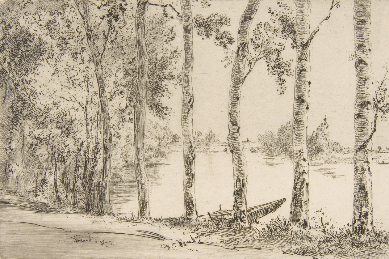 Trembles al bordo della Senna, ca. 1884 da Felix Bracquemond