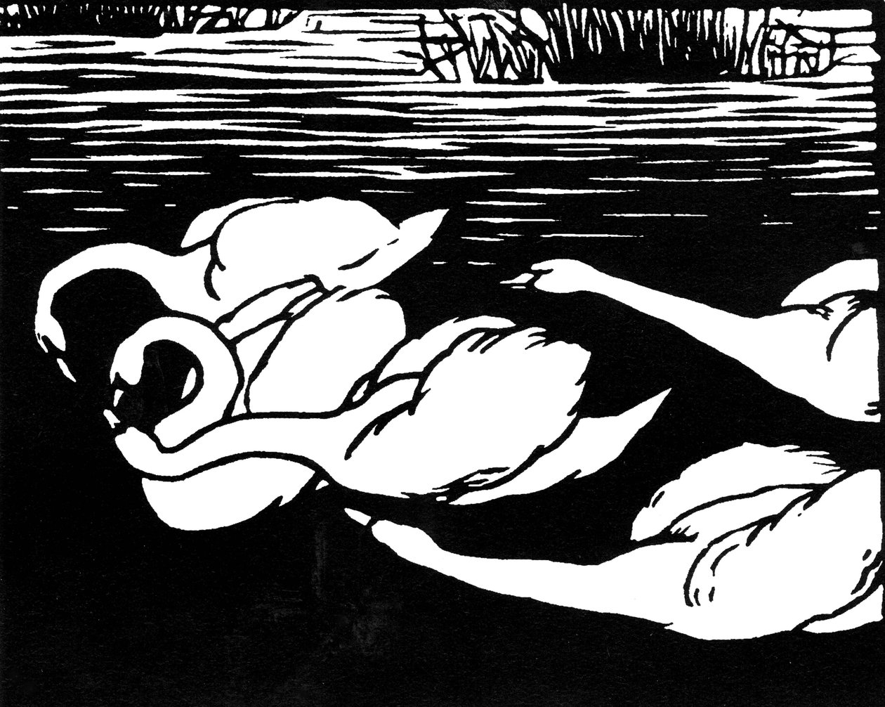Cigni, 1892 da Felix Edouard Vallotton