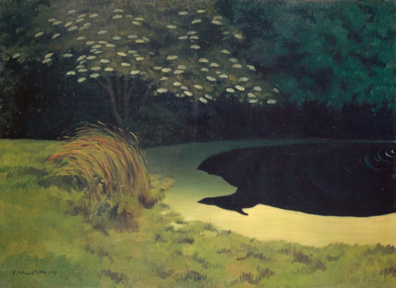 Lo stagno da Felix Edouard Vallotton