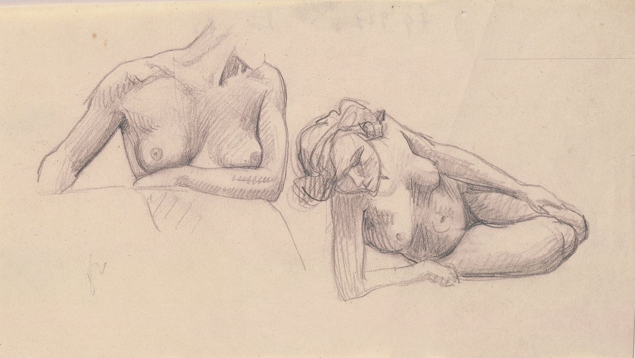 Due studi di nudi femminili da Felix Edouard Vallotton