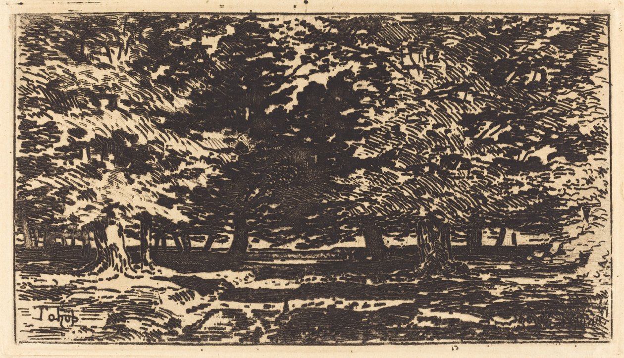 Foresta da Felix Hilaire Buhot