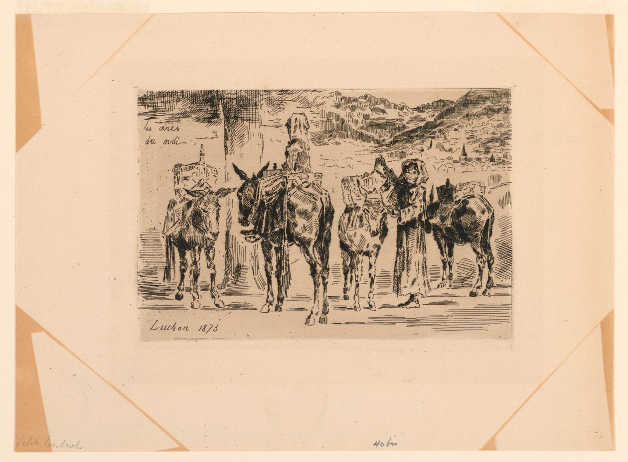 Gli Asini del Midi da Felix Hilaire Buhot
