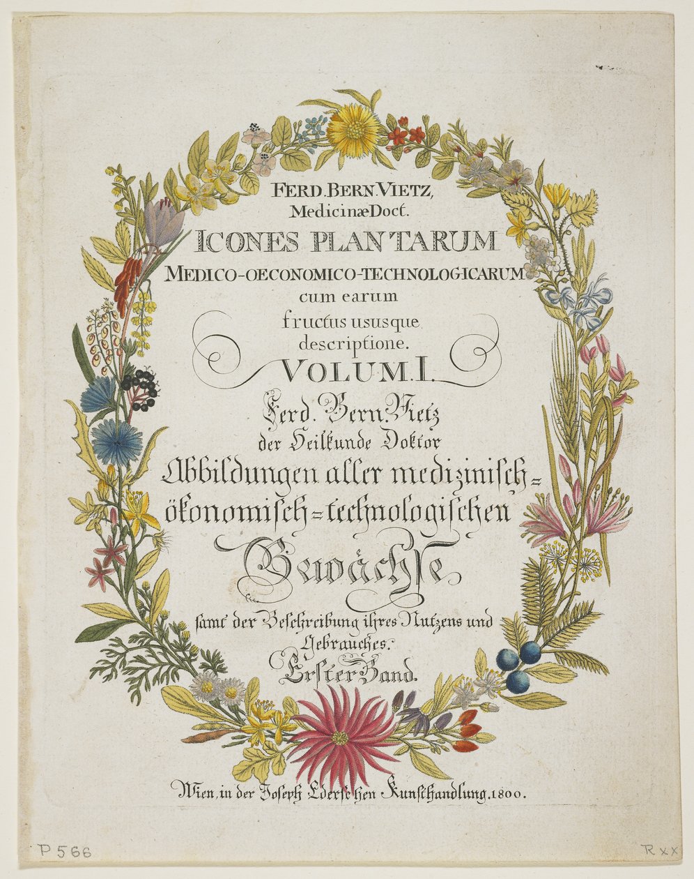 Frontespizio e Pagina del Titolo, Vol. I, da Icones Plantarum Medico-Oeconomico-Technologicarum cum Earum Fructus ususque Descriptione, 1800 da Ferdinand Bernhard Vietz