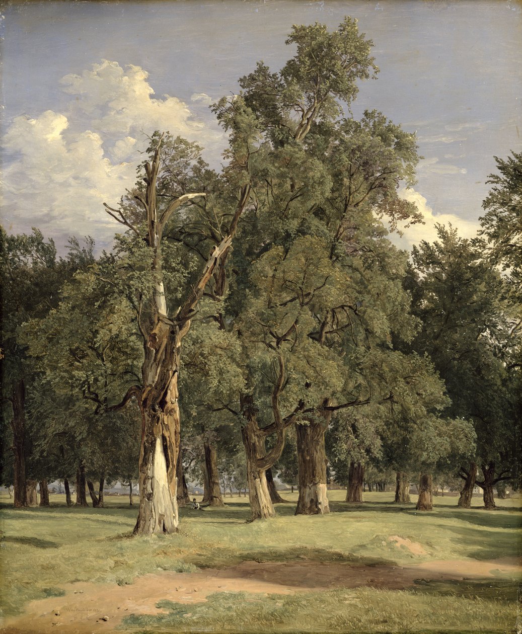 Olmi nel Prater da Ferdinand Georg Waldmuller