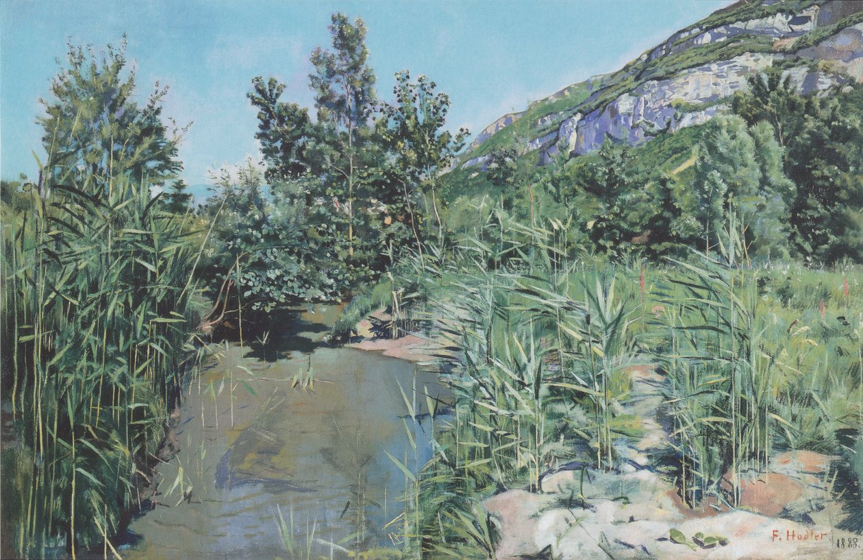 Ai piedi del Salève da Ferdinand Hodler