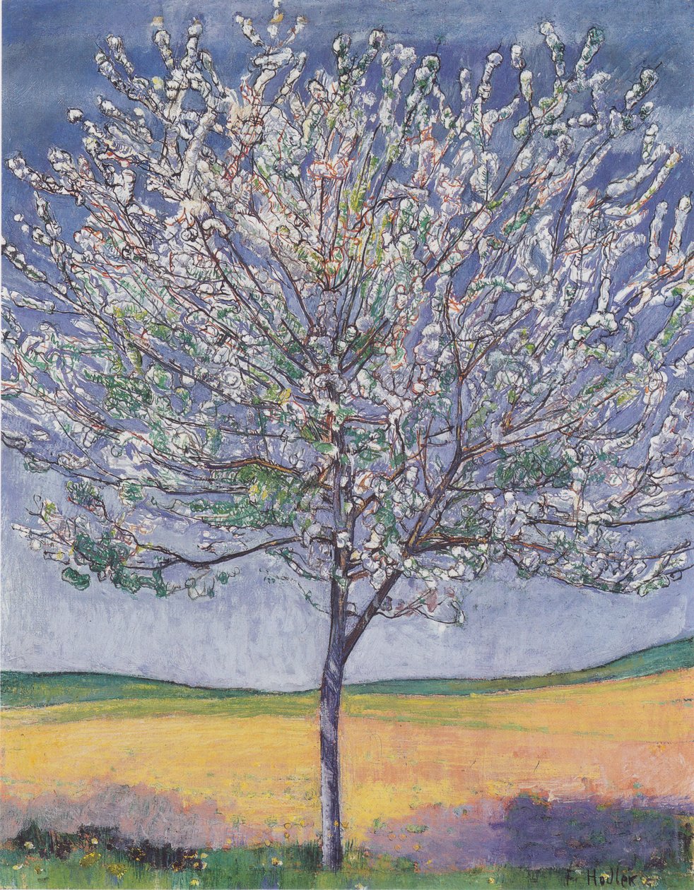 Ciliegio in fiore da Ferdinand Hodler