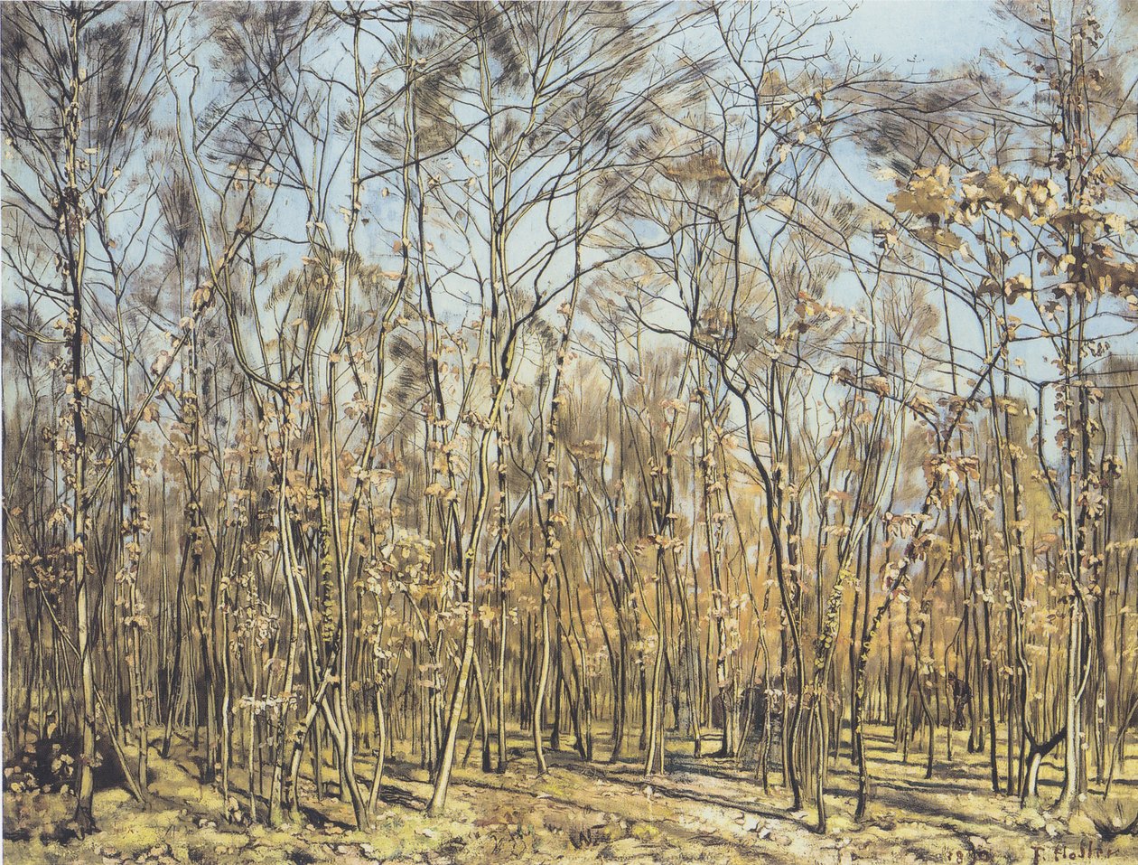 Il bosco di faggi da Ferdinand Hodler