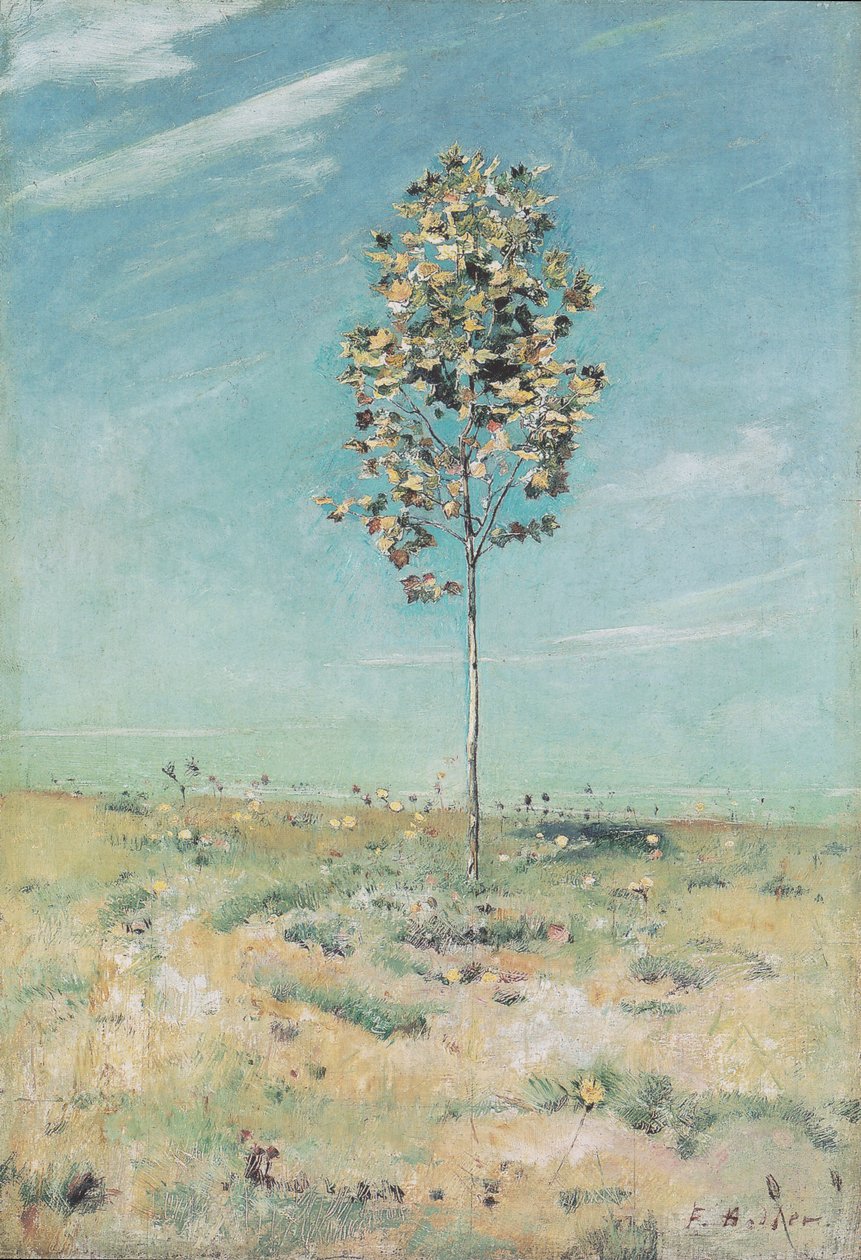 Il piccolo platano da Ferdinand Hodler