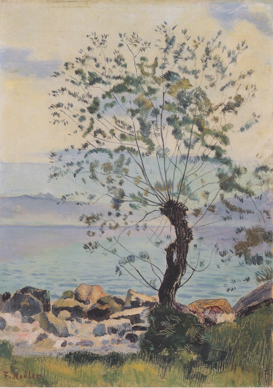 Salice vicino al lago da Ferdinand Hodler