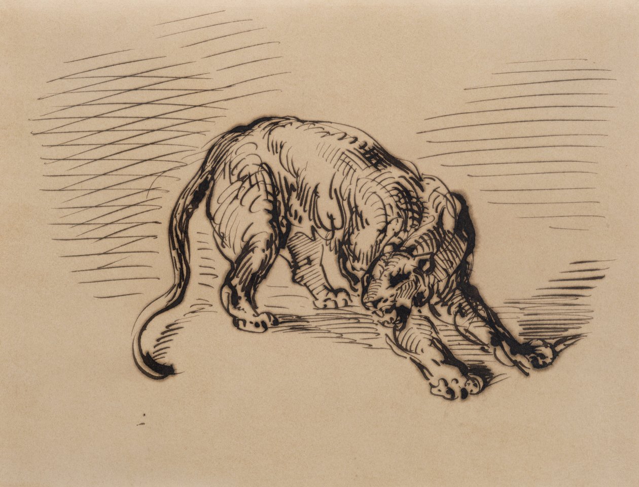 Tigre spaventata da un serpente, 1858 da Ferdinand Victor Eugene Delacroix