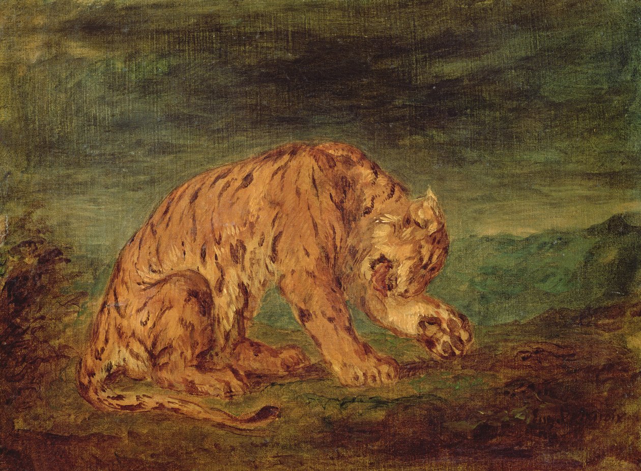 Tigre che lecca una zampa da Ferdinand Victor Eugene Delacroix