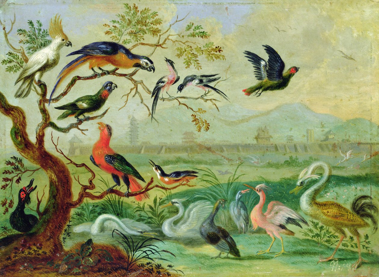 Uccelli dei quattro continenti in un paesaggio con vista su Pechino sullo sfondo da Ferdinand van Kessel