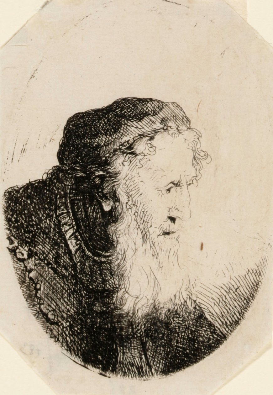 Vecchio con barba fluente da Ferdinand Bol