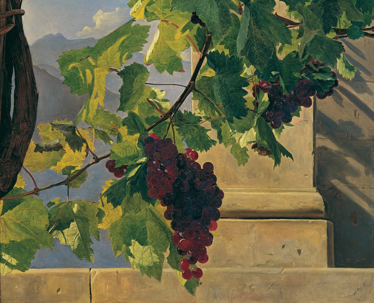 Uva rampicante da Ferdinand Georg Waldmüller