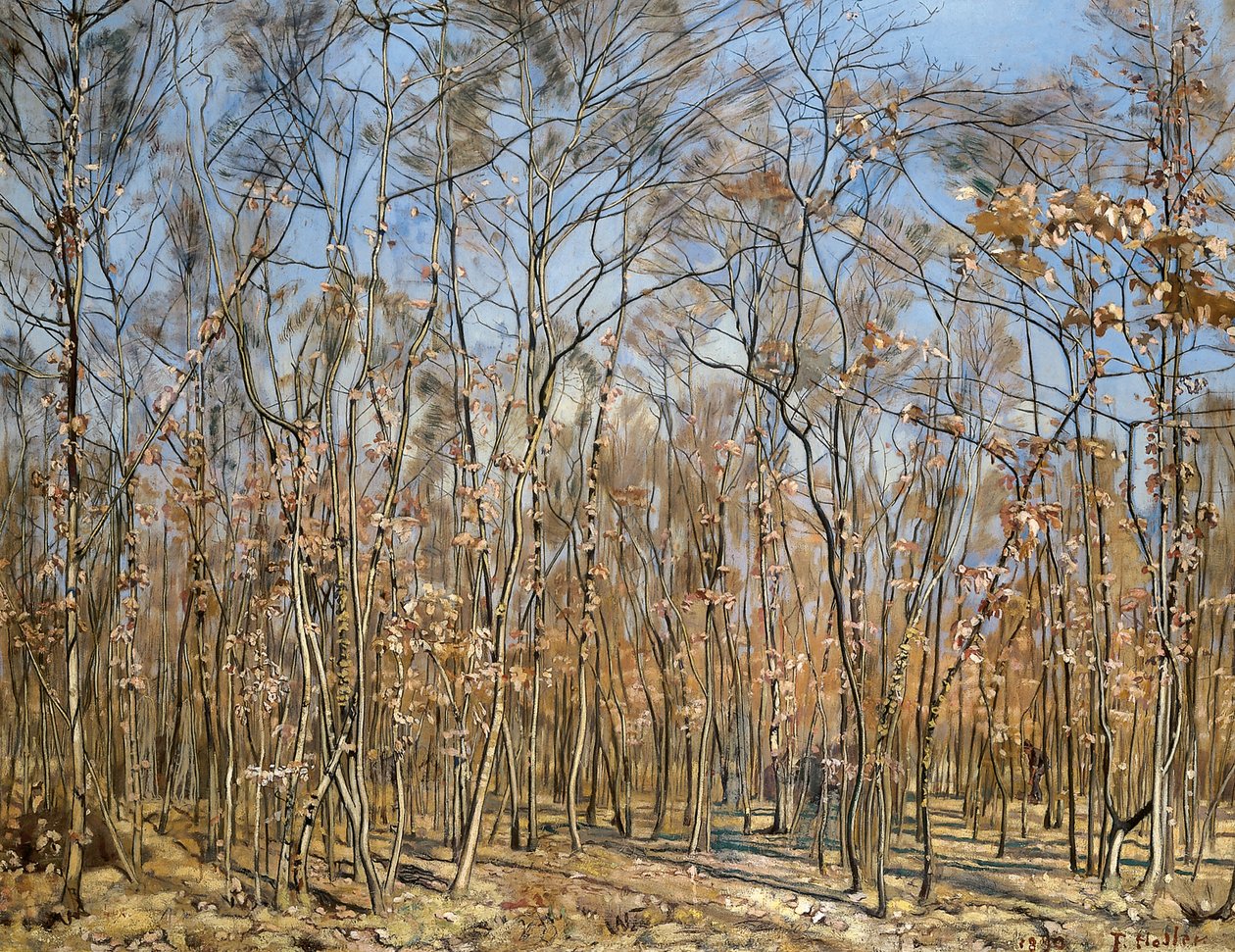 Foresta di faggi, 1885-1894 da Ferdinand Hodler