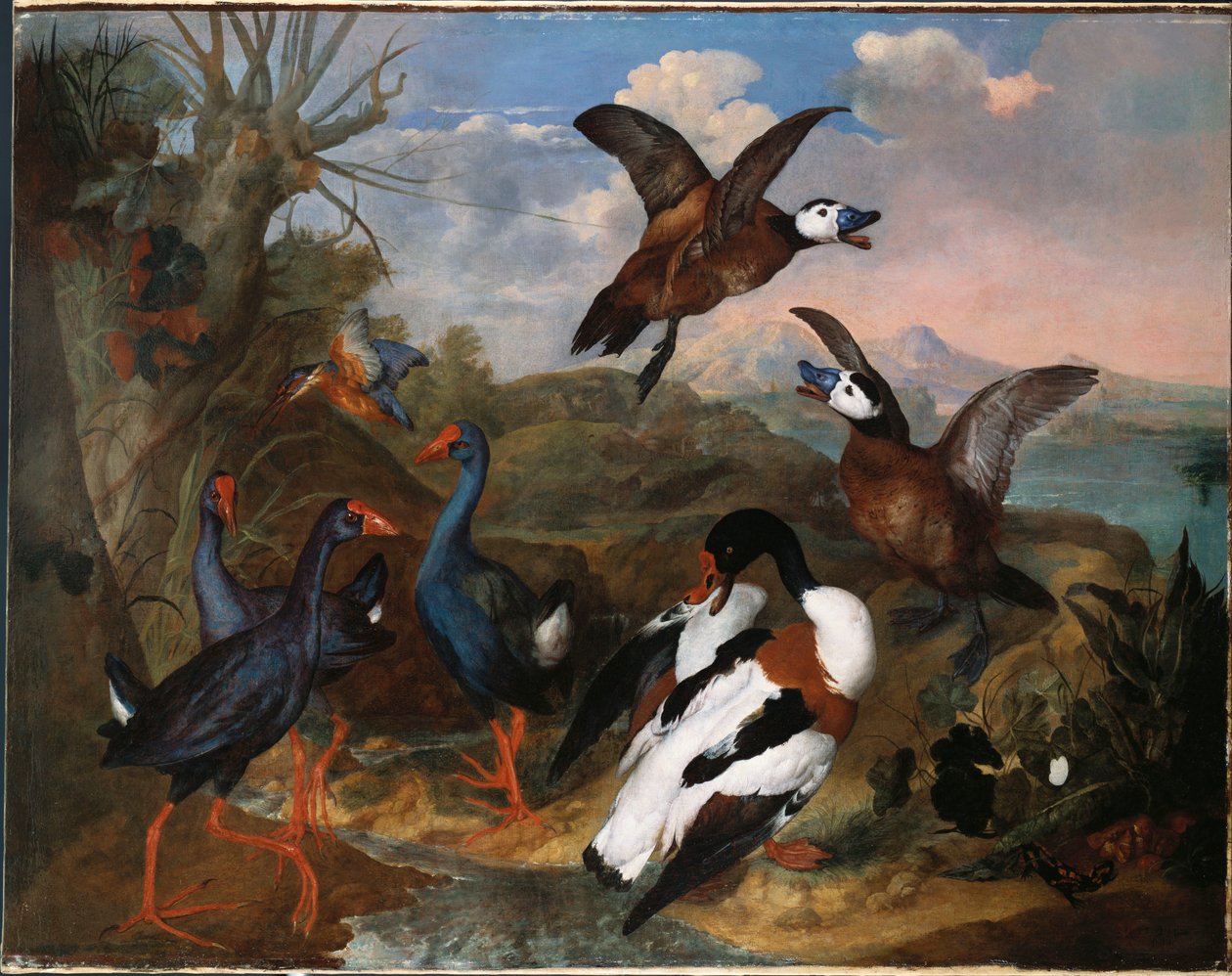 Anatre e altri volatili in un paesaggio da Ferdinand Phillip de Hamilton