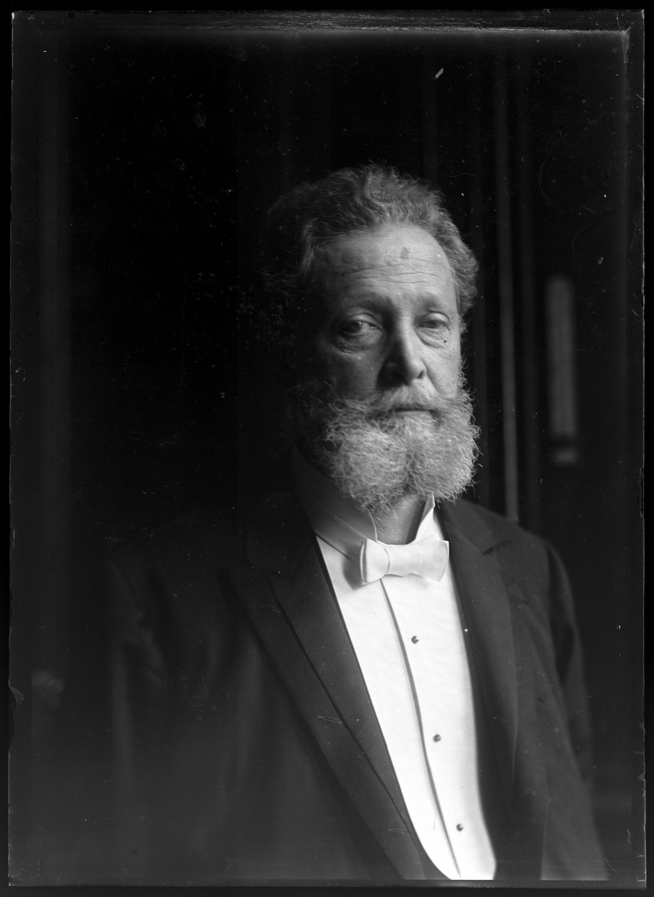 Ritratto di Charles Lueger (1897-1910) da Ferdinand Schmutzer