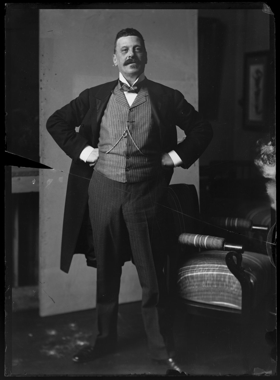 Ritratto di Charles Wittgenstein (1847-1913) da Ferdinand Schmutzer