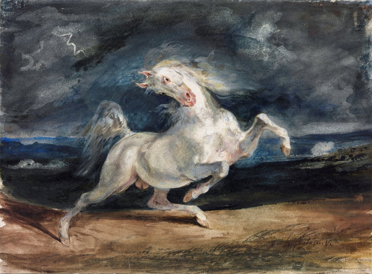 Cavallo spaventato dal fulmine da Ferdinand Victor Eugene Delacroix