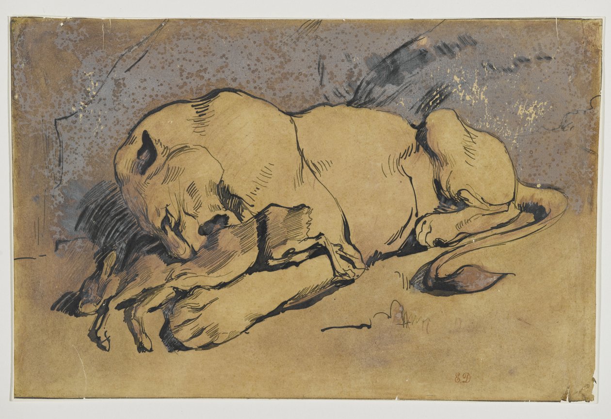 Leonessa che divora un coniglio da Ferdinand Victor Eugene Delacroix