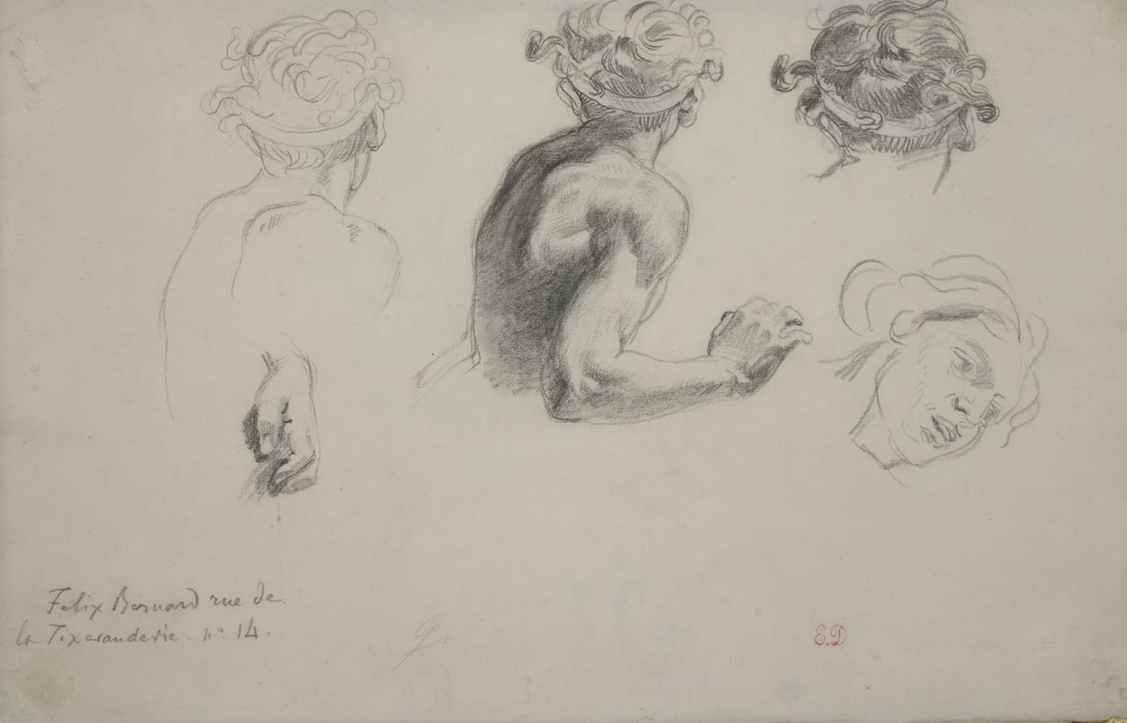 Foglio di studi per la 
