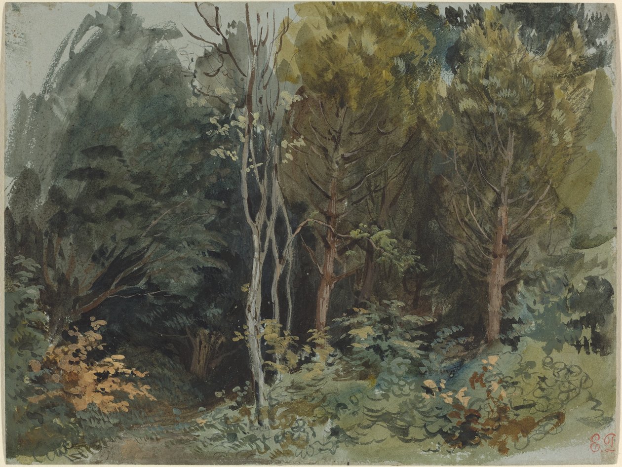 Il bordo di un bosco a Nohant, c. 1842-1843 da Ferdinand Victor Eugene Delacroix