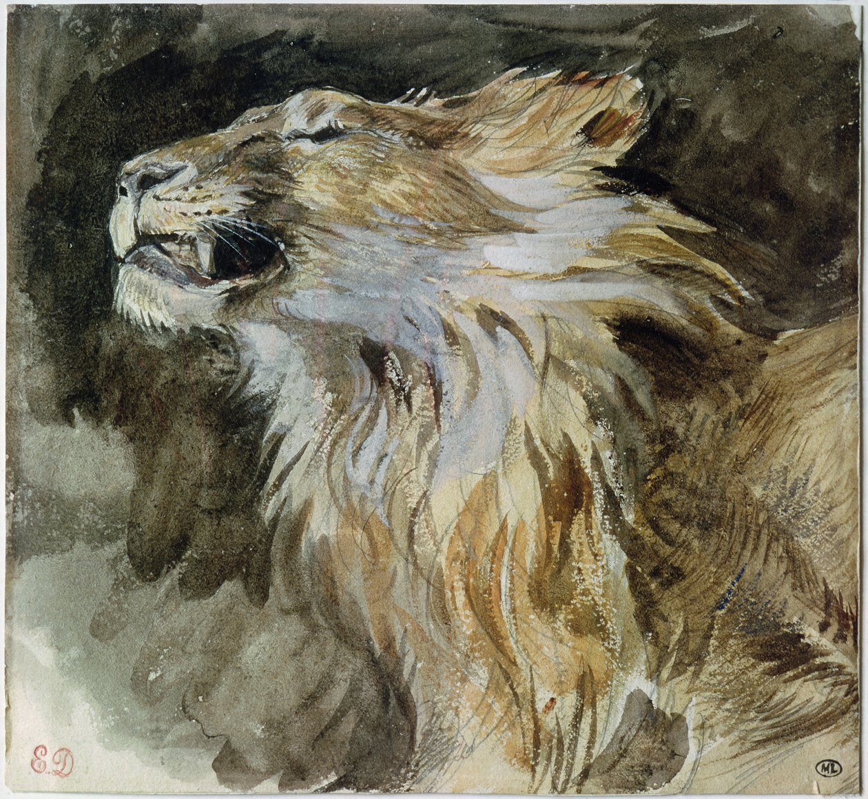 La testa di un leone da Ferdinand Victor Eugene Delacroix