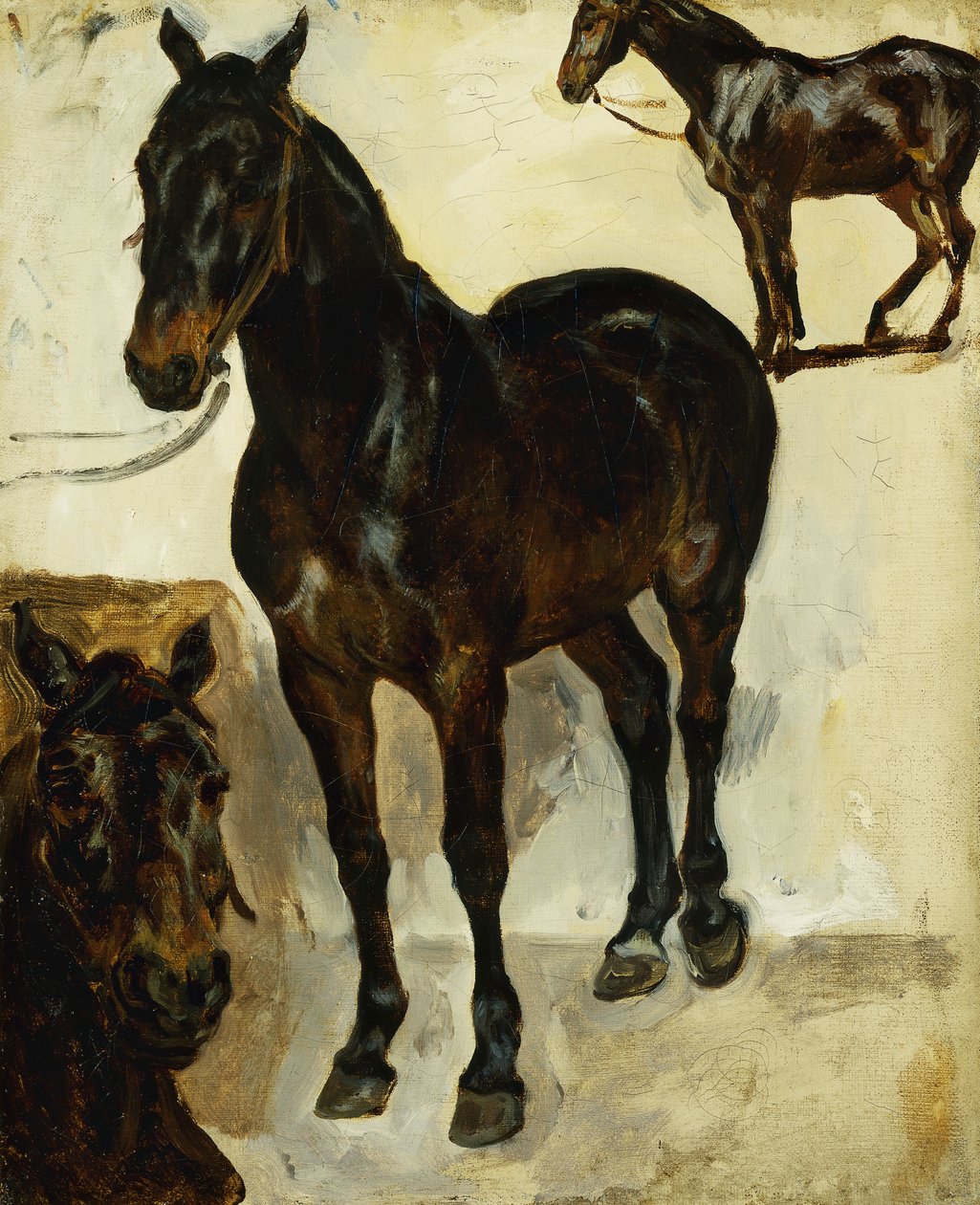 Tre studi di cavalli, c.1823 da Ferdinand Victor Eugene Delacroix