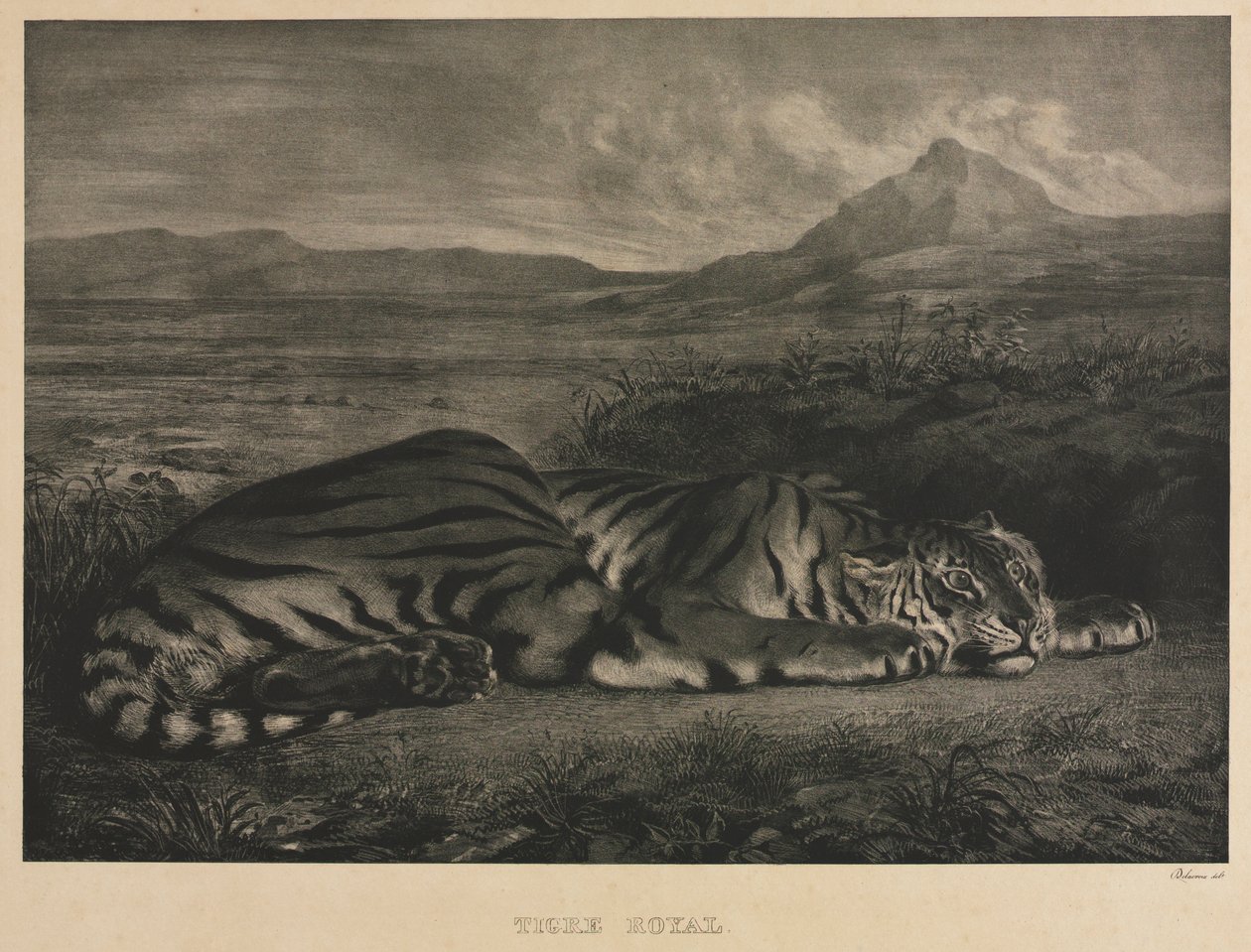 Tigre Reale, 1829 da Ferdinand Victor Eugene Delacroix