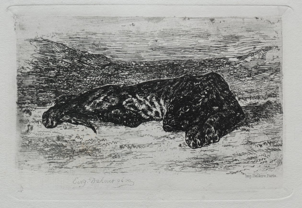 Tigre sdraiata nel deserto da Ferdinand Victor Eugene Delacroix