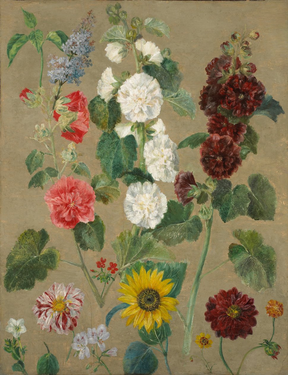 Senza titolo (Fiori) da Ferdinand Victor Eugene Delacroix
