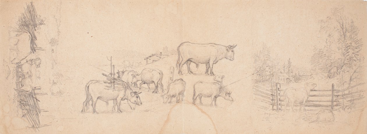 Vari schizzi di mucche e tori da Ferdinand von Wright