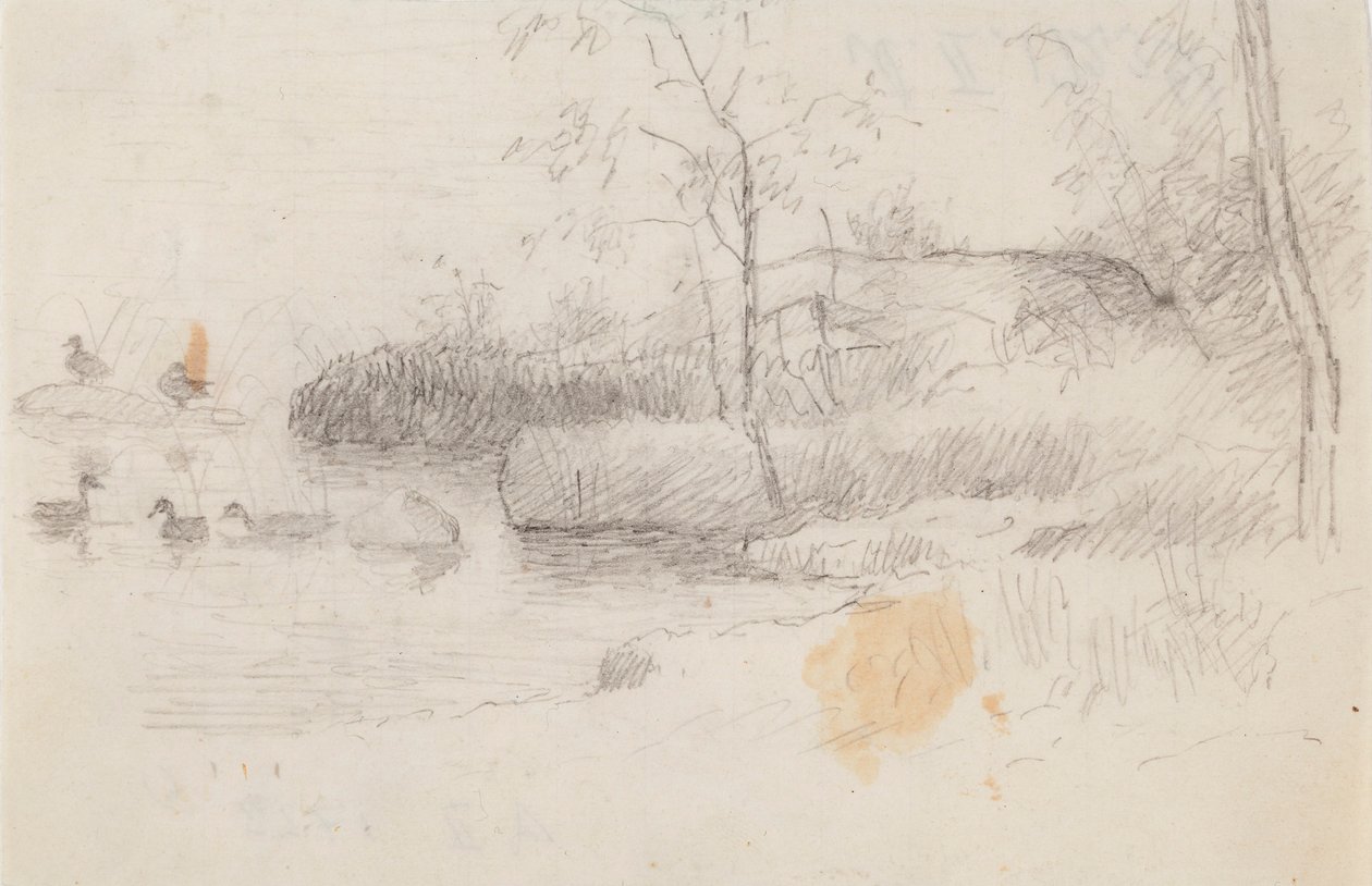 Paesaggio con anatre da Ferdinand von Wright