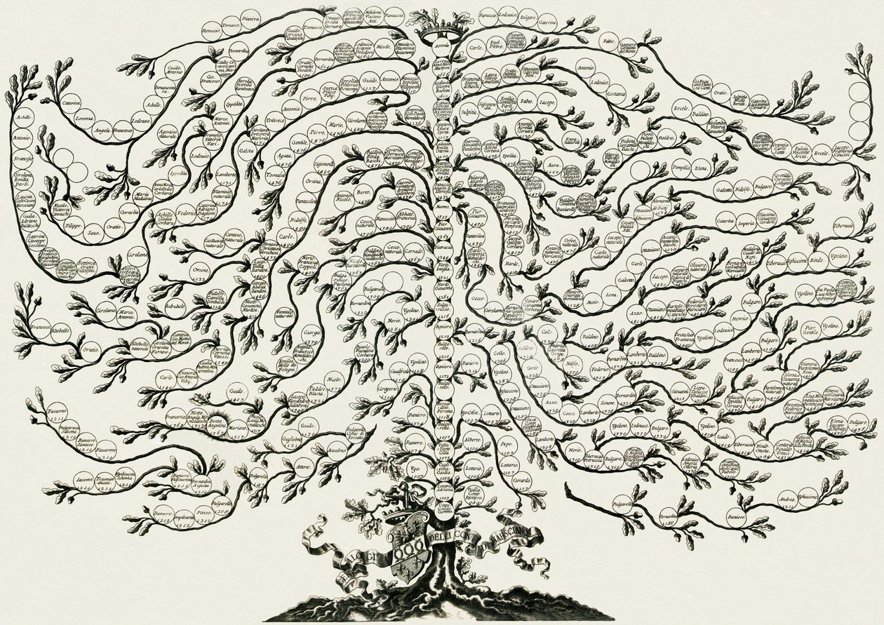 Albero genealogico marsciano ughelli da Ferdinando Ughelli