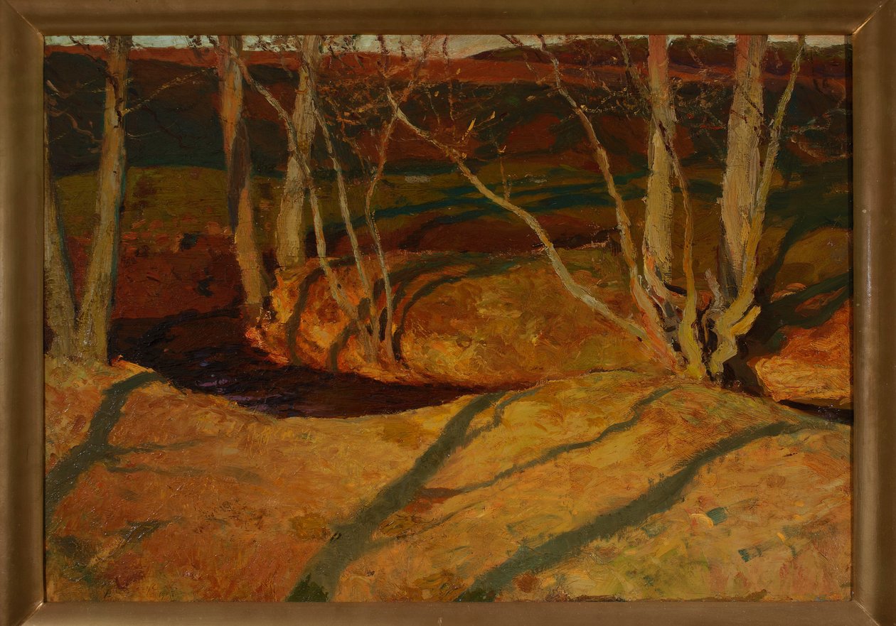 Paesaggio autunnale al tramonto da Ferdynand Ruszczyc