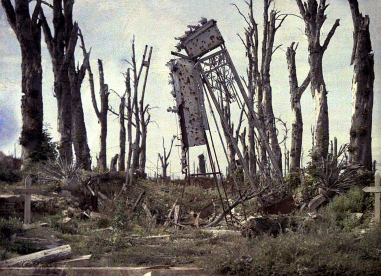 Il cancello del castello e gli alberi danneggiati dal fuoco dell
