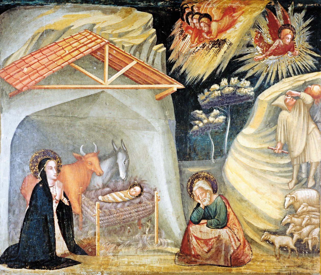  da Ferrer Bassa