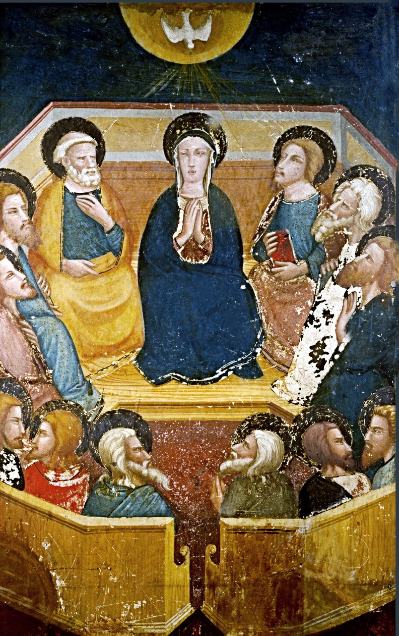  da Ferrer Bassa