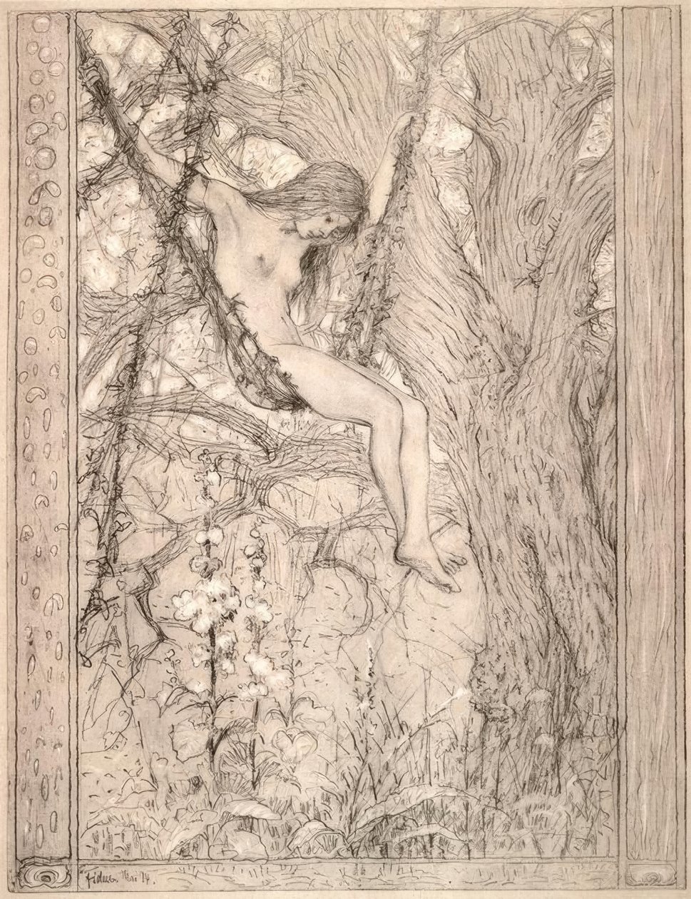 Altalena di liane da Fidus
