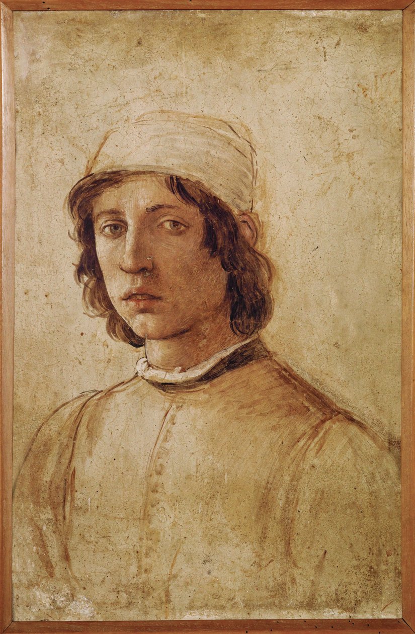  da Filippino Lippi