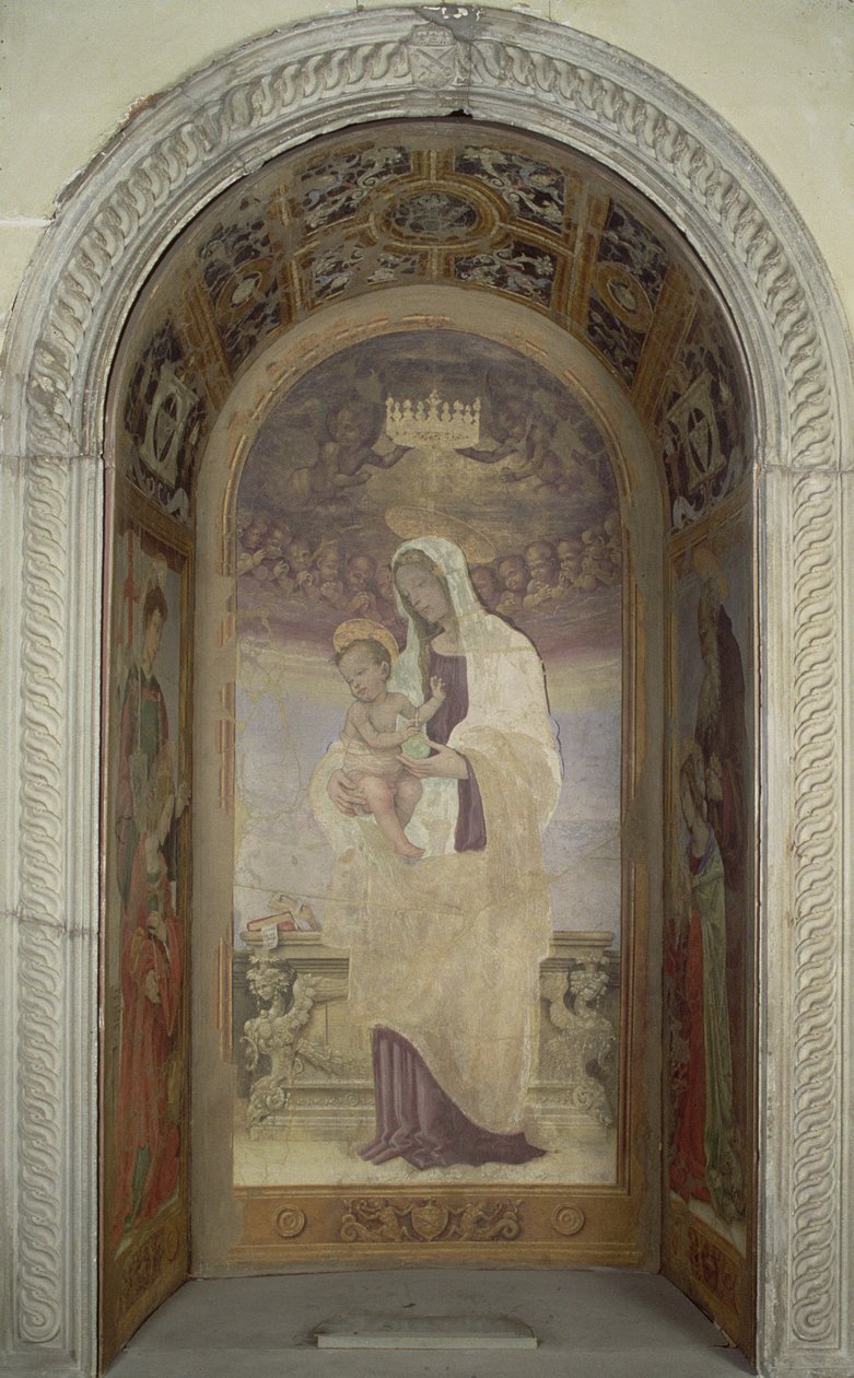 Immagine sconosciuta da Filippino Lippi