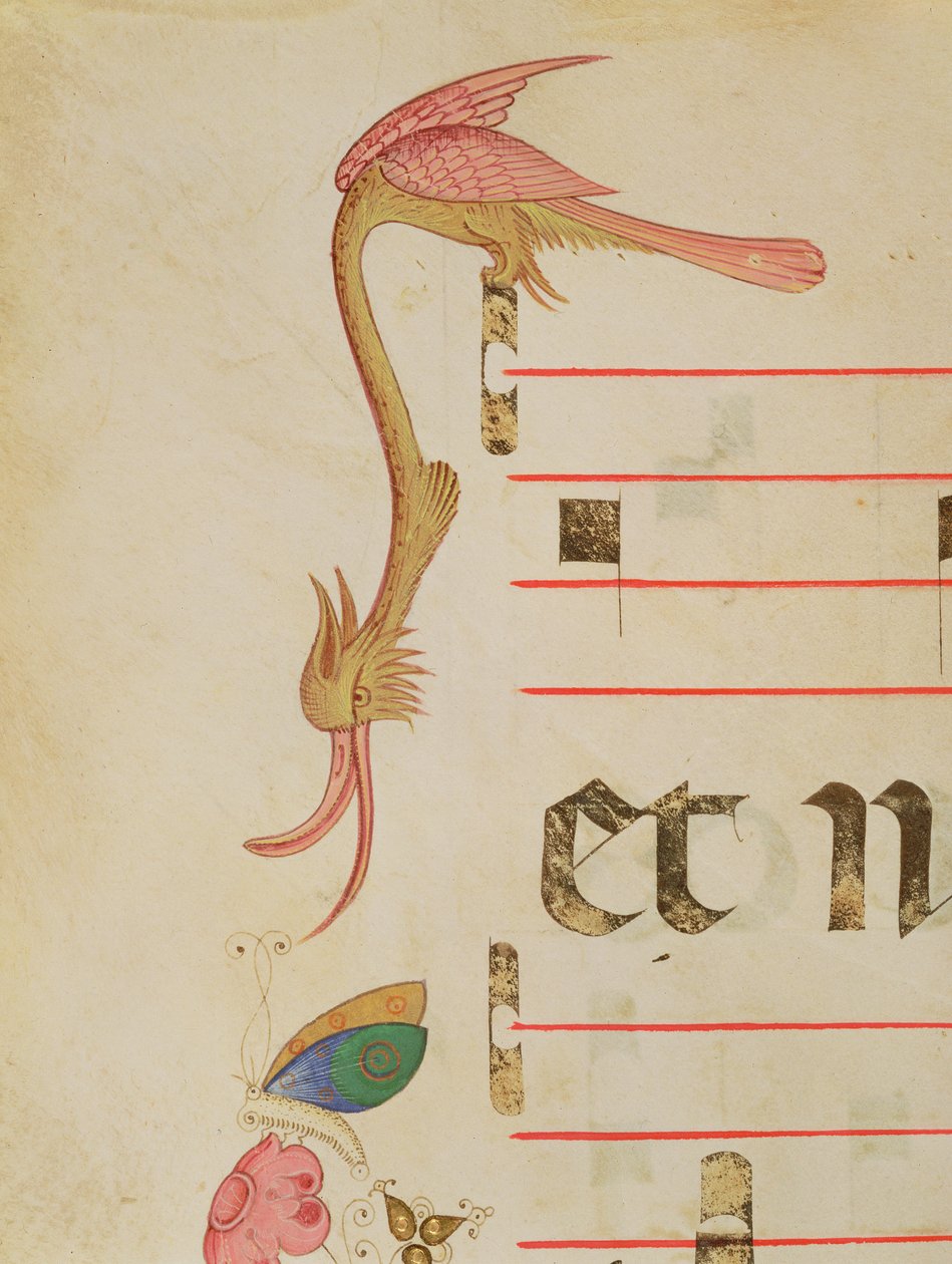Messale 515 f.9r Uccello fantastico che caccia una farfalla, (dettaglio) del bordo decorativo da un libro corale eseguito prima del 1449 da Filippo di Matteo Torelli