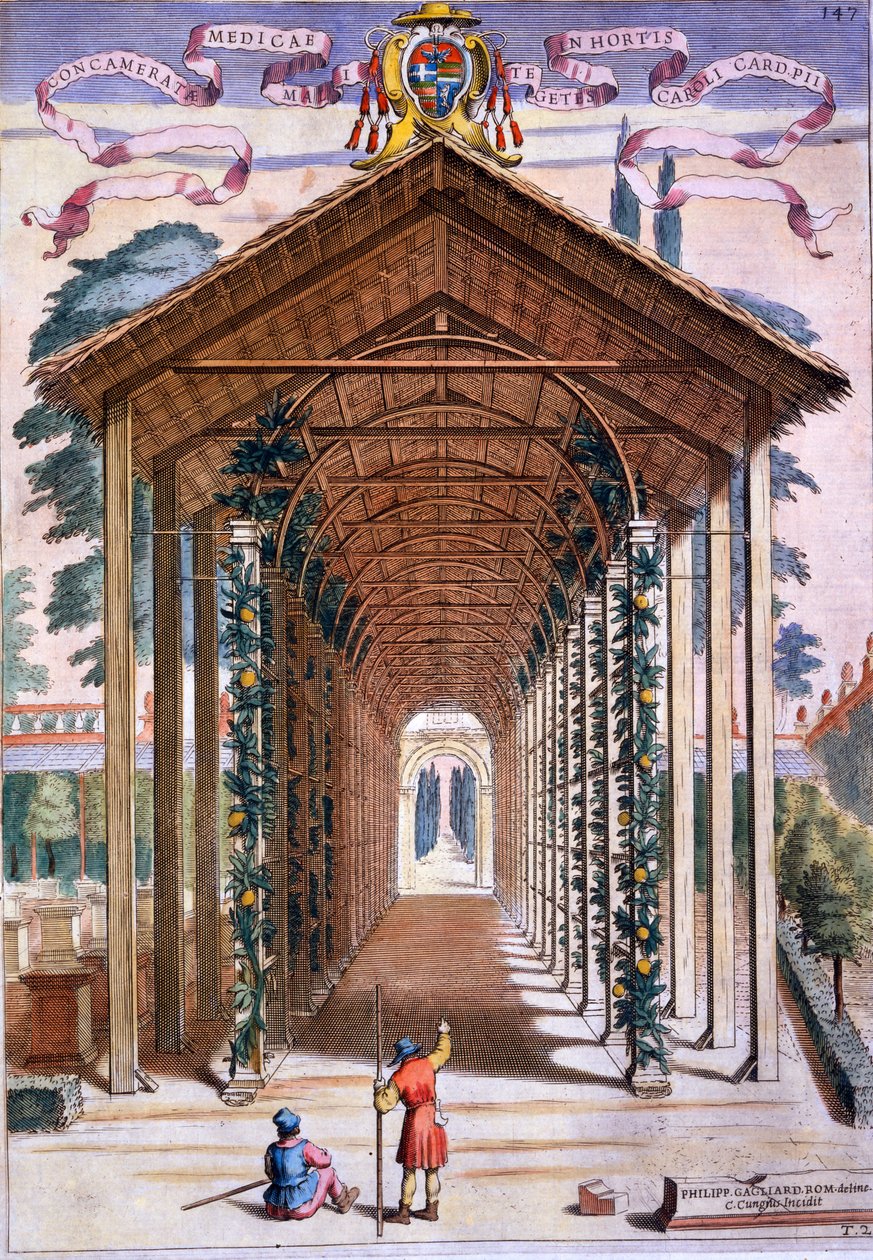 Un passaggio coperto a pergolato, da 