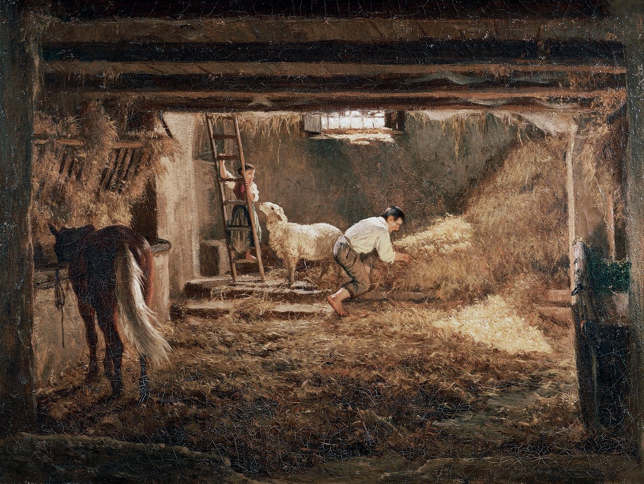 Veduta dell
