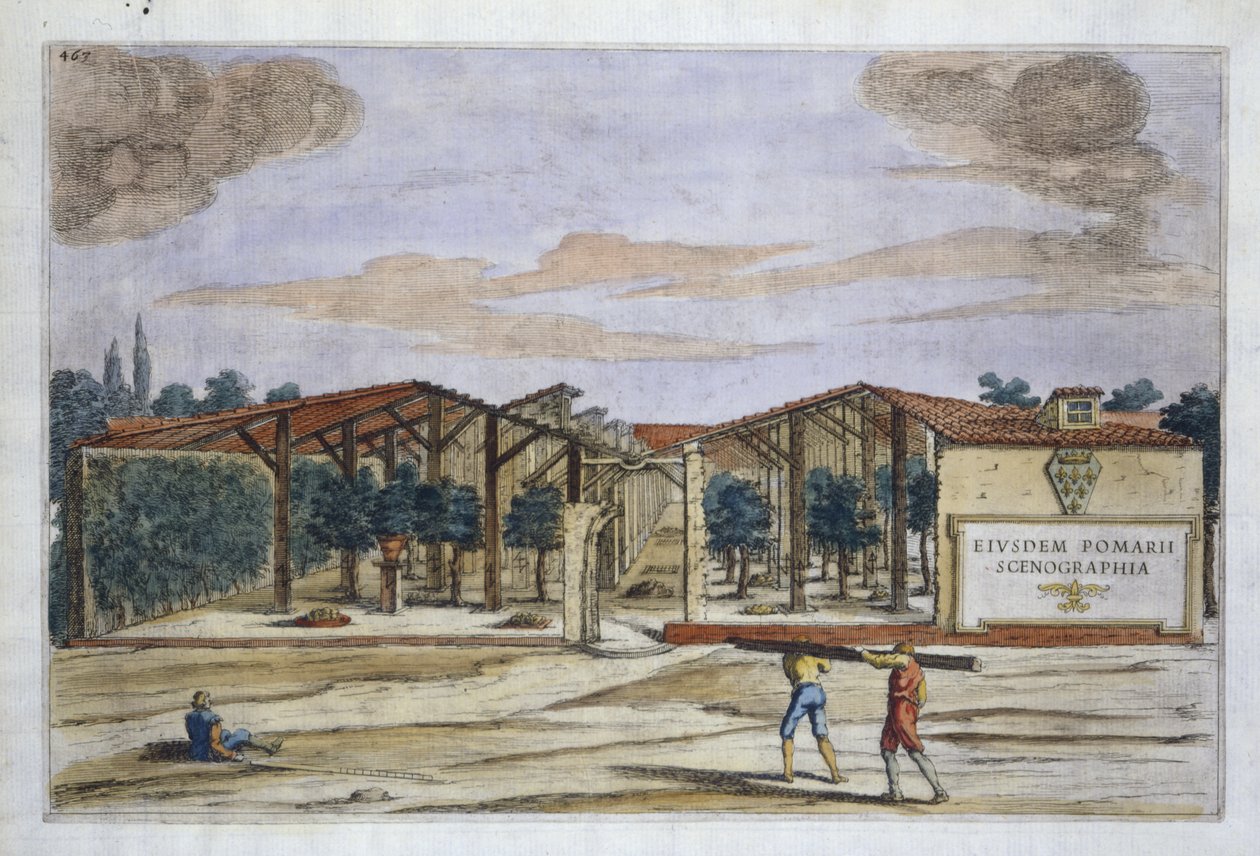 Un frutteto coperto, da Hesperides di Giovanni Battista Ferrari, inciso da Camillo Congio da Filippo after Gagliardi